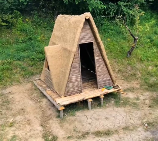 Wilderness Shelter: Building with Wood and Mud