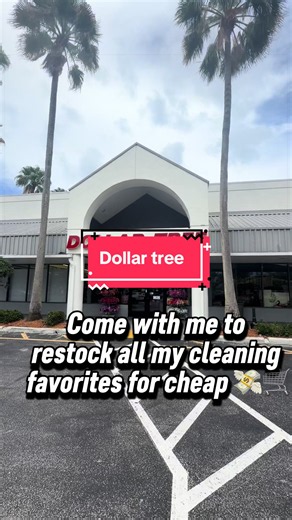 Come shop with me at the @Dollar Tree while I restock my cleaning essentials 🧼✨ They had so many good finds for such good prices 💸 Which item would you grab first? 🤍 #dollarstorefinds #cleaninghaul #shopwithme #cleaningtiktok #fyp