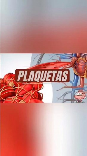 las Plaquetas