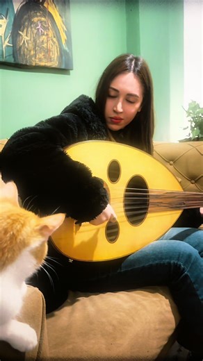 The cat listening calmly 🎶❤️ “Do not disturb me 🐱” #طرب #tiktok #music #موسيقى