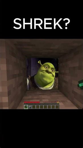 What is Shrek doing here? #minecraft #funny #meme #shrek #shrekmemes #hashtag #hastags