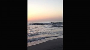 Randy Wayne White catching a last wave. Just a few more weeks until the new Doc Ford novel, SALT RIVER, is on sale. Preorder now and be among the first to read it! https://bit.ly/2LD3szm | Randy Wayne White