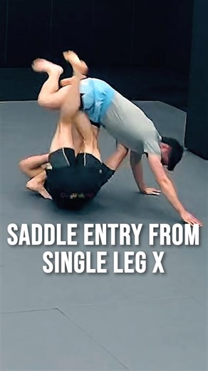 Leglockers NEED this Saddle entry from Single Leg X