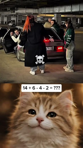 Push scam 😂 #trending #cat #funny