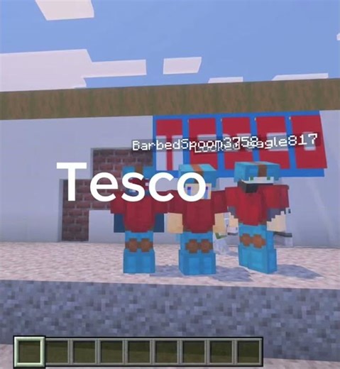 ❤️#minecraft #tesco #funny