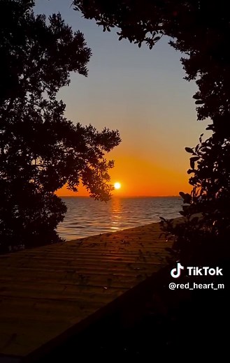 Tu portami con te ...... #ultimo #rondinialguinzaglio #voliamoneiperte✈️✈️🦁a360gra #neipertee #tiktok #rispetto👍🏻💪🏻👏🏻💖💙🎀❤️💯🥇🙏🏻 #siamotuttiuguali