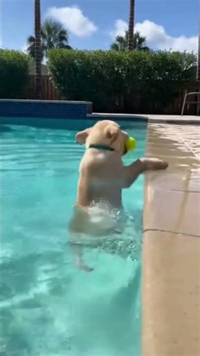 Pool Party Fail! 😂