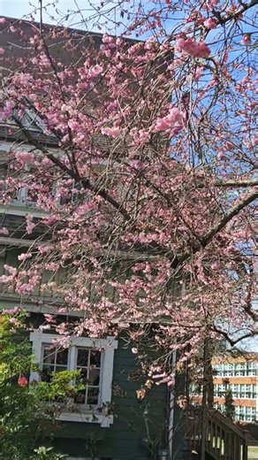your sign to reconnect with nature after midterm season! #universityofbc