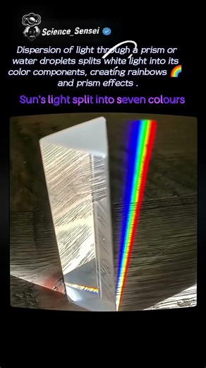 Dispersion of light sun's light split into seven colours #science #physics #rainbow