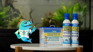 230 reactions · 16 comments | Cloudy tank? You’re not alone. One-third of fish keepers face issues with water clarity. Contact us with questions on your aquariums today! | API Fishcare | Facebook