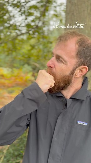 Un gland pour siffler ? 🎶 On attrape une cupule (le petit "chapeau"), on ferme le poing, on laisse une mini ouverture… et on souffle ! Envie de découvrir d’autres astuces en pleine nature ? Rejoignez nos balades pour tout apprendre sur les plantes et leurs secrets ! 🕵️‍♂️ Par ici pour réserver : https://www.lechemindelanature.com/balades-et-ateliers 🌿 | Le Chemin de la Nature