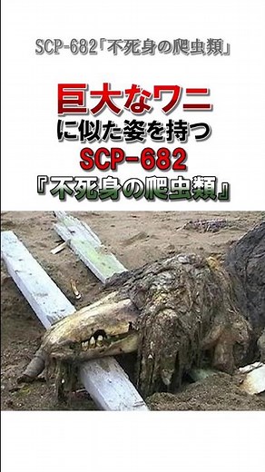 15秒でわかる★SCPオブジェクト『SCP-682 不死身の爬虫類』【スマホsize】
