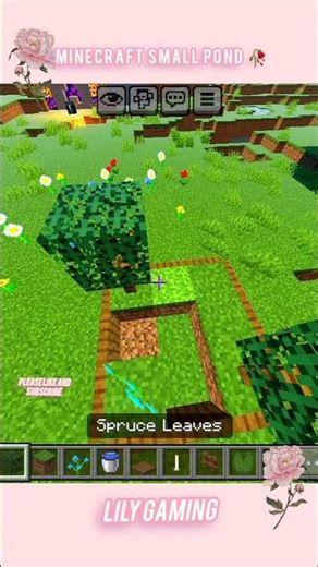 Minecraft small pond 🥀