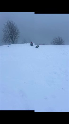 Michelle MacDonald (@michellemacdonald1124)’s videos with Sleigh Ride (Sped Up) - The Ronettes