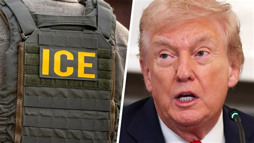 Journalist describes 'odd' experience applying to ICE and getting 'final job offer'