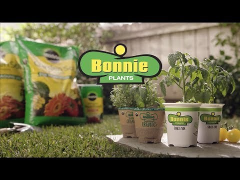 The Harvest is in Your Hands with Bonnie Plants®