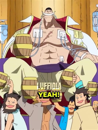 Ace gets named 2nd commander and falls asleep at the banquet 😂💀 | One Piece Ep.461 #shorts #anime