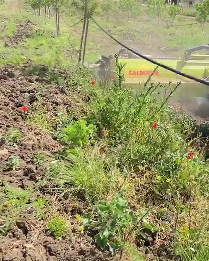 Trincia Calderoni con taglia erba interfilare a sforzo controllato. #trinciatura #trincia #interfilare #farm #farmlife #agriculture #diffidatedalleimitazioni #sicilia #mazzarino #attrezzi | Garziano Macchine Agricole