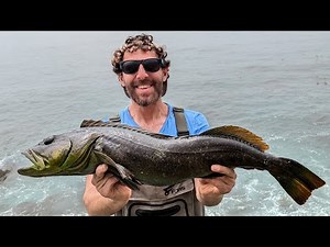 Lair of Lingcod: Shore Fishing Deep Waters on the Central Coast