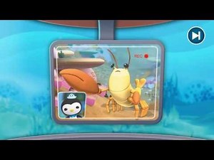 OCTONAUTS CADET GAME