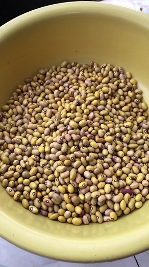 Musala ya pamba vraiment 🥺