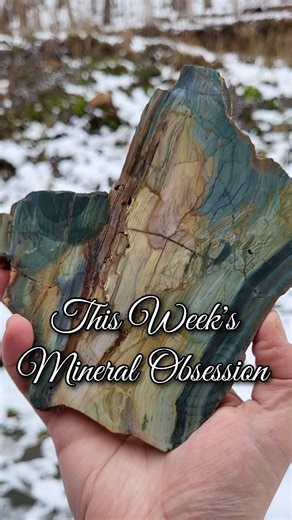 Diamond Mountain Mining, LTD. on Instagram: "We've got something truly awesome for you this week, guys!!!! 😍🪵 . Our "Mineral crush of the week" may always be changing, but this is one we've had a crush on for a WHILE. . With its unique blues, teals, and greens, it's easy to see why Oregon's petrified "Bog Wood" has us OBSESSED! . You have all heard of the Old Faithful Geyser at Yellowstone National Park, yes? 🌋The same volcanic hot spot that creates all the bubbling hot springs and geysers at