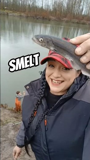 Smelt Fishing live highlights! Cowlitz River 2026. #fishing #womenfishing #smelt