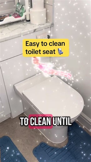 Quick clean toilet seat. Easy to remove and clean. #toiletseat #bathroomhack #bestbuy
