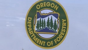 4 acre fire sparked near solar panel field - KOBI-TV NBC5 / KOTI-TV NBC2