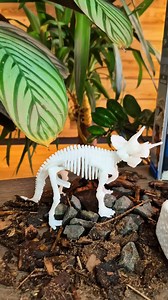 Werdet mit dem Galileo Discovery-Ausgrabungs-Set "Dino Mega-Collection" zu echten Paläontologen! | Clementoni