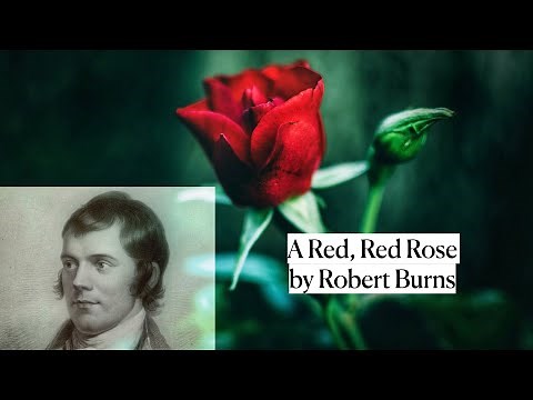 A Red, Red Rose by Robert Burns (with text) - read by Ben W Smith