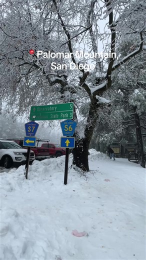Snowy Wonderland at Palomar Mountain After a Rainstorm