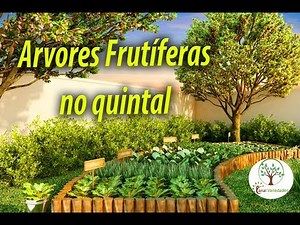 Orchard in a small space, Tips on how it is possible
