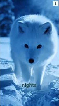 How Humans Became the Only Naked Animals