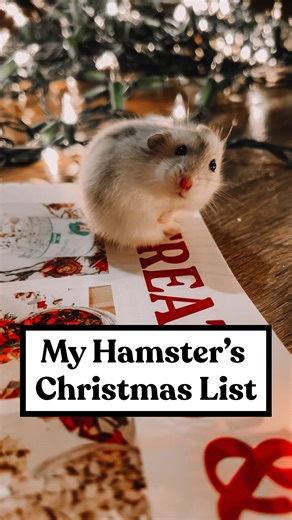 Hamster Safe Products • Affordable & Hamster Approved on Instagram: "POV this is what I think Jasmine would say going through our holiday catalog 🤭 What’s your hamster saying?! 🎁"