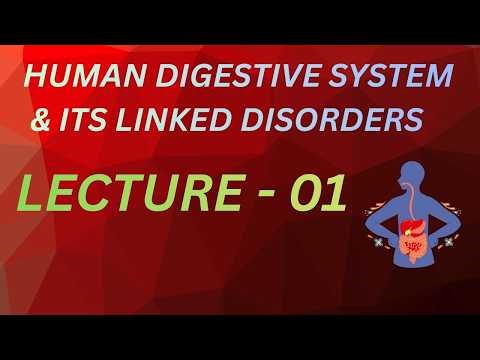 HUMAN DIGESTIVE SYSTEM LECTURE -01