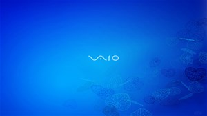 Sony VAIO 4K wallpaper Rare Gallery wallpaper