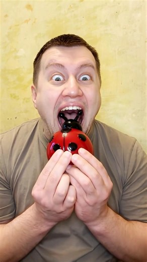 Tutorial: Marmalade Ladybug DIY Marmalade Ladybug 🐞❓