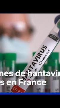 Jura, Aveyron, Bas-Rhin... These are the hantavirus hotspots detected in France since the 1980s