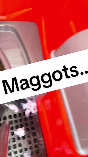 It’s an everyday thing… #foryourpage #funny #poop #construction #bluecollar #new #viral #fyp #work #foryoupage #toilet #viralvideo #viraltiktok #tiktok #cleaning #washing #great