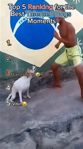 Ranking the best Talented Dogs Moments 🤣