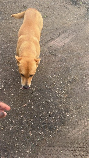 Simply_pat (@simply_pat17)’s videos with Unfold - CONVERT WORKS