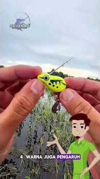 Bro, I'm casting with a soft frog but why aren't I getting any bait? #Javafish #softfrog #casting