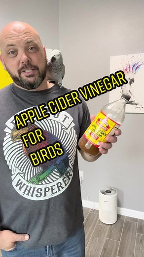 Apple Cider Vinegar Benefits for Birds