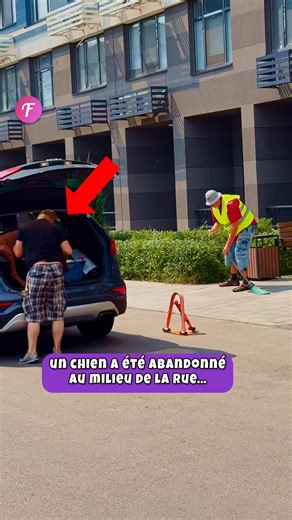 578K views · 10K reactions | La gentillesse sauve un chien abandonné Que feriez-vous dans cette situation? . . . (À des fins de divertissement uniquement. Consulter des professionnels si des conseils sur les activités sont présentés. Aucune affiliation à une marque n'est implicite si elle est représentée. Si le contenu s'inspire d'événements réels, des adaptations créatives peuvent être incluses. Le contenu peut inclure des images publiques.) | Fabiosa France | Facebook