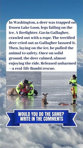BAMBI ON ICE, RESCUED BY A FIREFIGHTER 🦌❄️