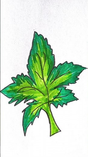 How to Draw a Leaf | Easy Leaf Drawing