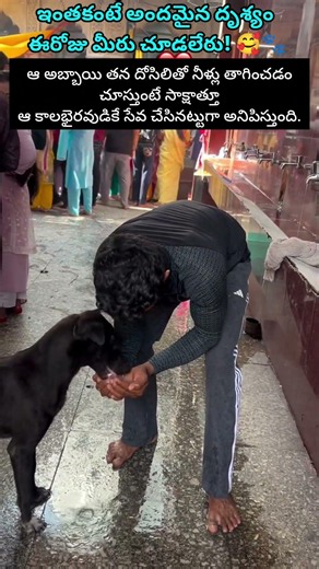 True Devotion is in Kindness ✨🐕 #trendingreels #viralvideo #viralnow #trending #shorts