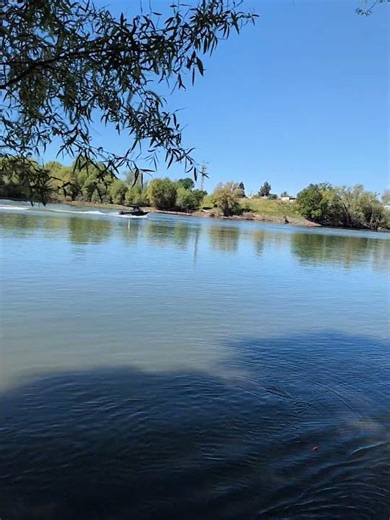 wakes on Sacramento River makes boat lift off the water