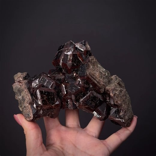 Andradite Garnet - Garnet Hill, Calaveras Co., California, USA More info: https://www.irocks.com/minerals/specimen/53227 Old California classic garnets! An impressive cabinet sized specimen featuring attractive, sharp, well-formed, lustrous crystals of dark reddish-brown andradite garnet measuring up to an amazing 4 cm across on a matrix of green epidote. The Garnet Hill Mine in Calaveras County, California is known for these spectacular andradites and this piece is a perfect example. These colo